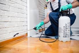 Best Fumigation Services  in Roanoke, TX